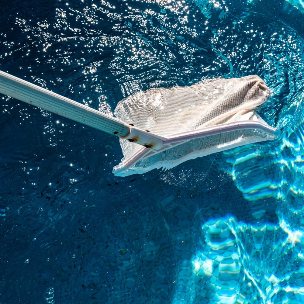 Pool Net Leaf Skimmer Rake in summer.